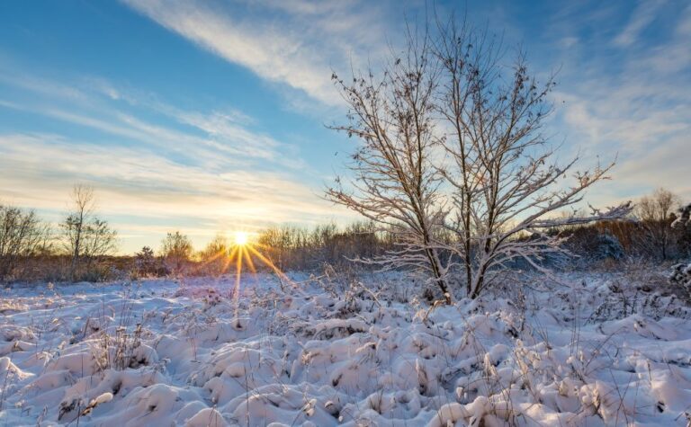 Encantadas Mañanas de Nieve