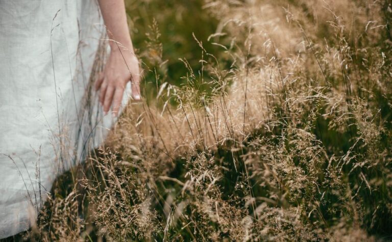 Abrazar el Arte de la Vida Lenta: Llevar la Toscana a Tu Hogar