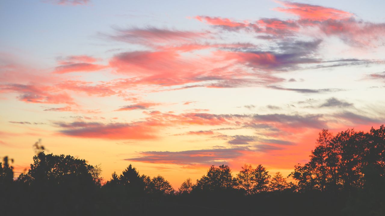 Cielo al Atardecer con Sonido Original de Pájaros y Música de Piano