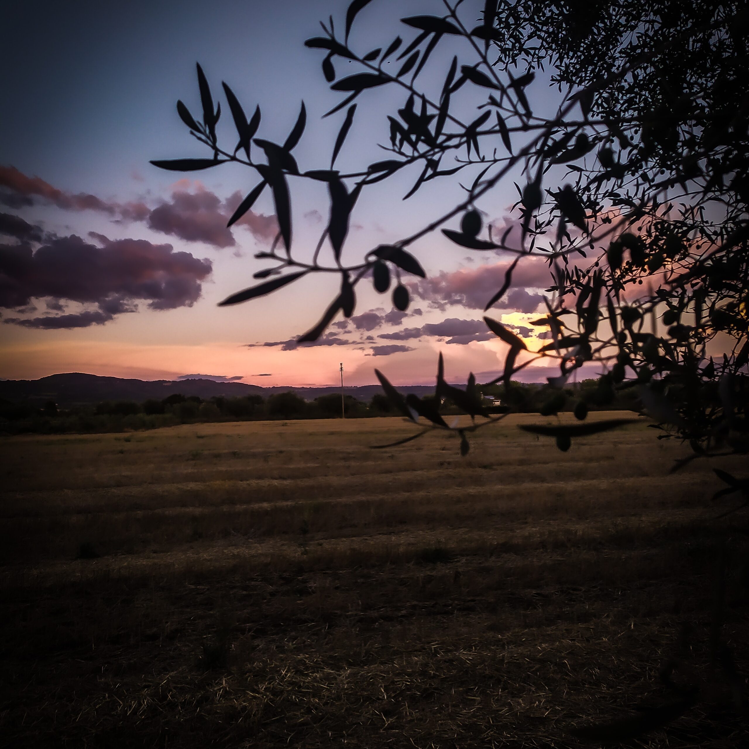 Adiós al Ser del Verano (Bolsena)