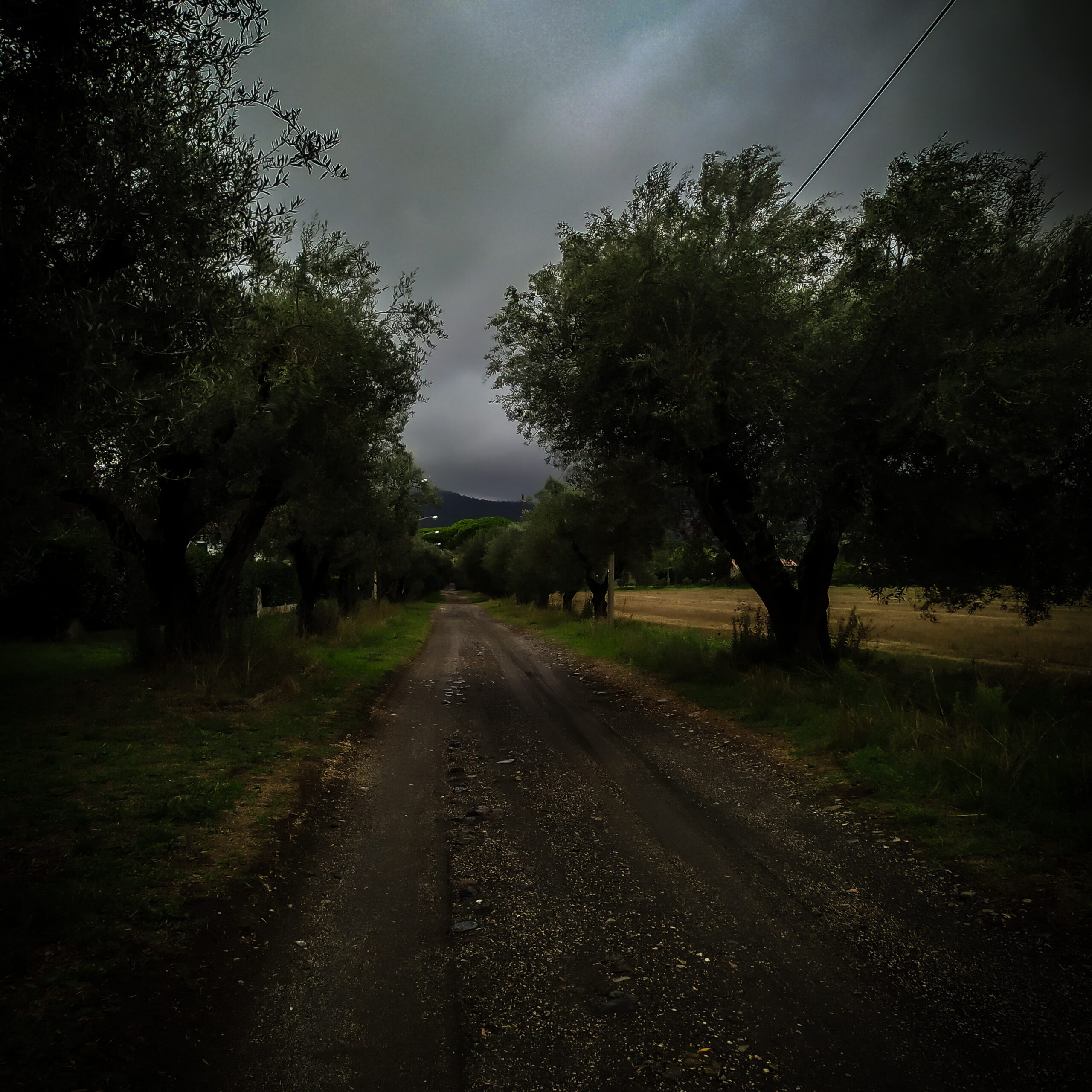 ¿Se lo Dices Tú? (Otoño en Bolsena)