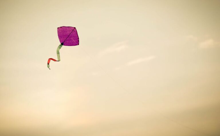A Kite in the Sky